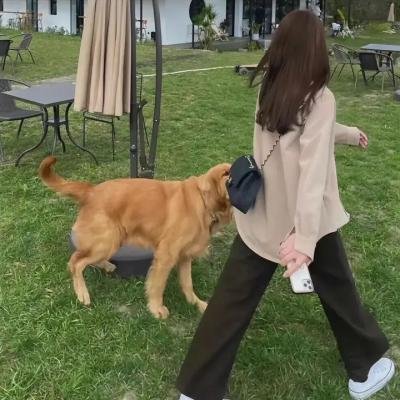 在江边